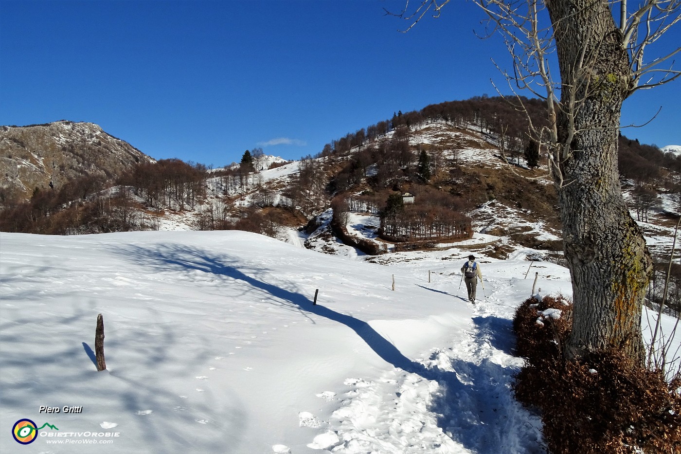 24 Bellissimo roccolo alla Sella.JPG